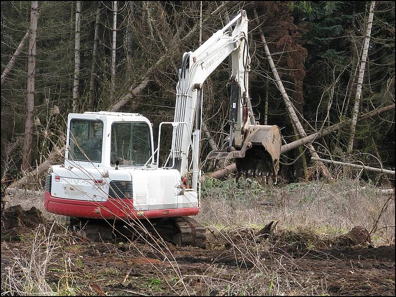 Land Clearing Site Prep