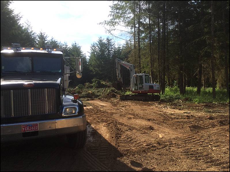Land Clearing Site Prep