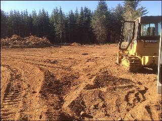 Land Clearing and Site Prep